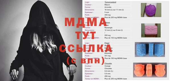 шишки Новодвинск