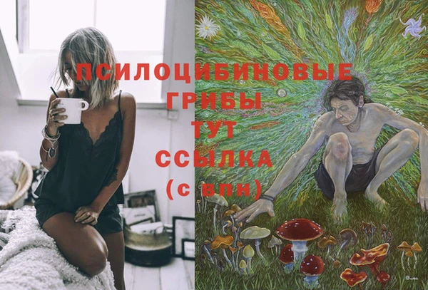 амф Абинск