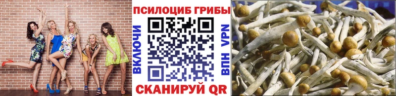 Псилоцибиновые грибы GOLDEN TEACHER Княгинино